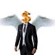 Role of Angel Investor