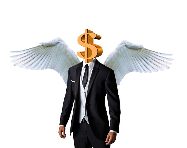 Role of Angel Investor